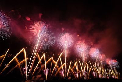 Fireworks exploding in night sky