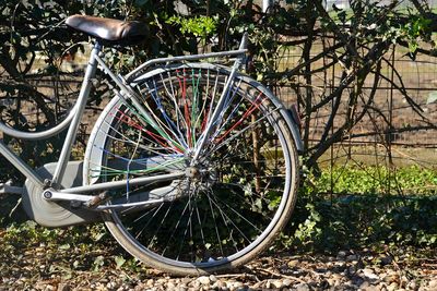 Bicycle parked at roadside