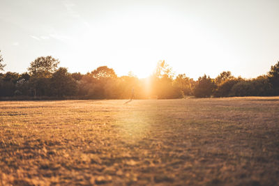 Scenic view of field against sky during sunset