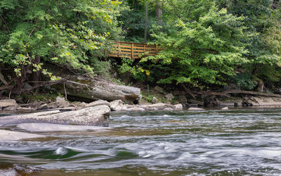 Scenic view of river flowing through rocks in forest