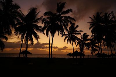 Silhouette palm trees on beach against sky during sunset