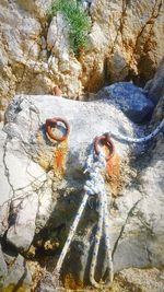 High angle view of rock in water