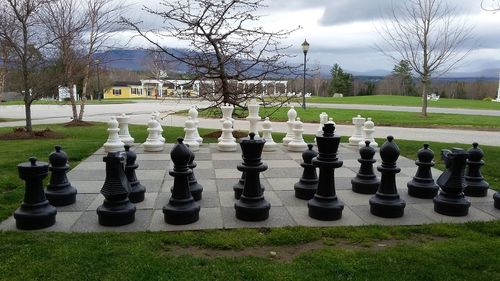 Row of chess against trees in park