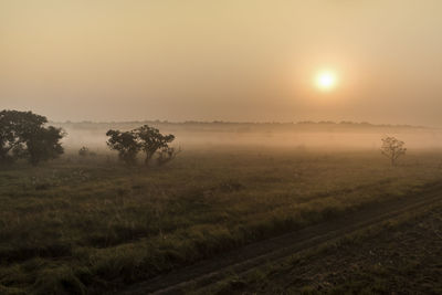 Scenic view of landscape against sky during sunset