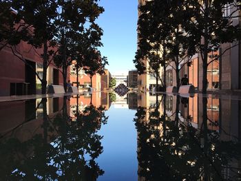 Trees and buildings reflecting in artificial pond against clear sky