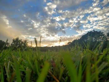 Scenic view of field against sky during sunset