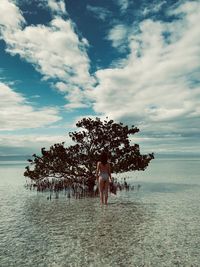 Rear view of seductive woman standing in sea against sky