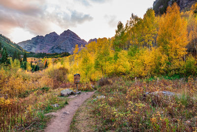 Dirt road amidst trees against sky during autumn