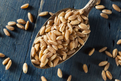 Directly above shot of almonds on table