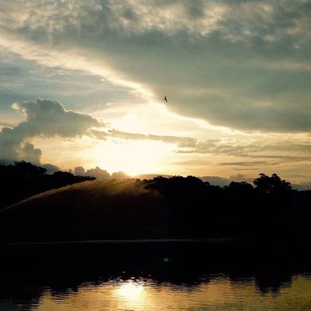 sunset, water, silhouette, sky, sun, reflection, tranquil scene, scenics, tranquility, beauty in nature, waterfront, tree, lake, cloud - sky, nature, sunlight, idyllic, bird, cloud, river