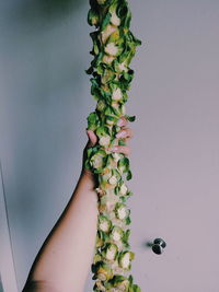 Midsection of woman holding apple against white background