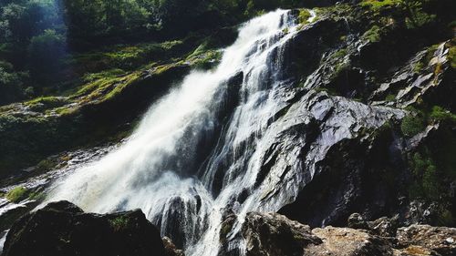 Scenic view of waterfall in forest