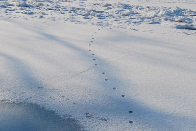 Close-up of snow on sand