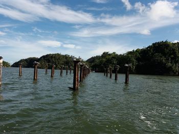 Wooden posts in sea against sky