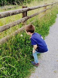 Rear view of little boy looking at flower growing on field