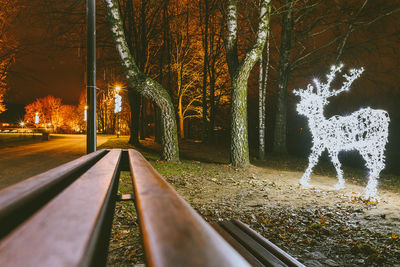 View of illuminated trees in park at night