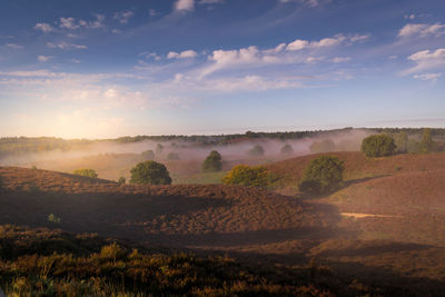 Scenic view of landscape against sky