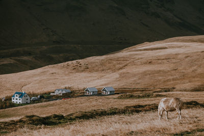 View of horse cart on field
