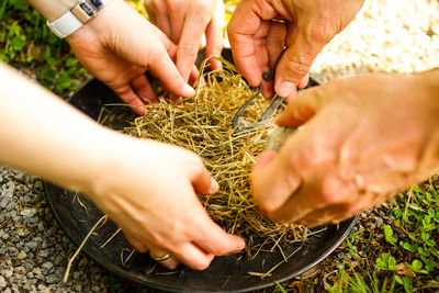 Close-up of hands kindling a fire with natural material