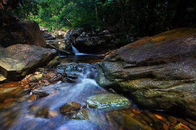 Stream flowing through rocks in forest