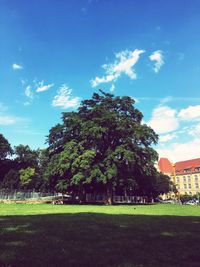 Scenic view of grassy field against cloudy sky