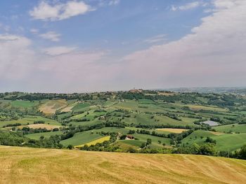 Scenic view of agricultural field against sky