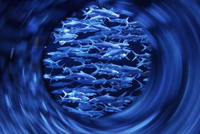 High angle view of glass in water