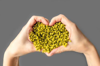 Close-up of hand holding leaf over white background