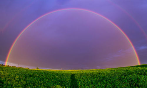 Scenic view of rainbow over field