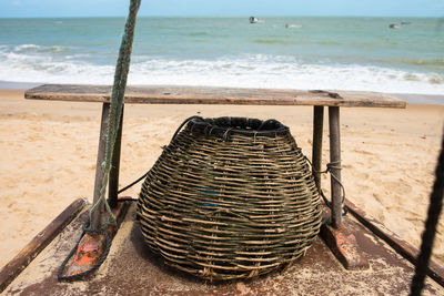 Scenic view of sea shore