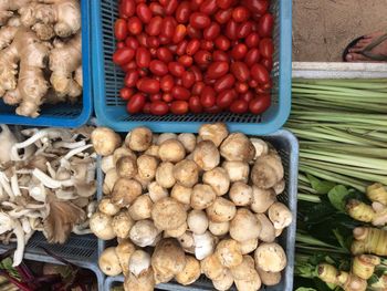 High angle view of vegetables for sale in market