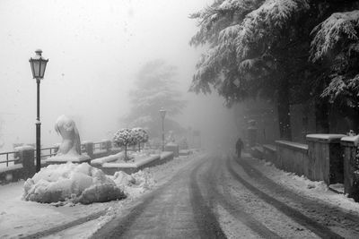 Snow covered trees against sky