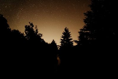 Silhouette trees in forest against sky at night