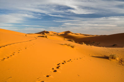 Scenic view of desert against sky