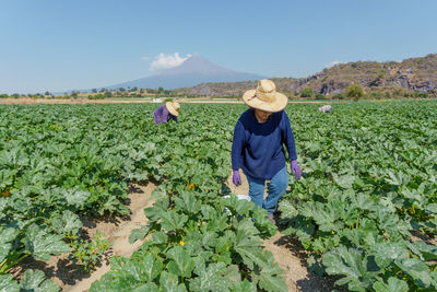 Rear view of woman standing on field against clear sky