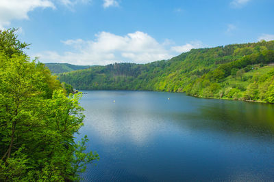 Scenic view of lake by trees against sky