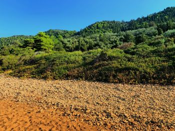 Scenic view of landscape against clear blue sky