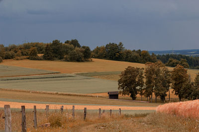 Trees on field against sky
