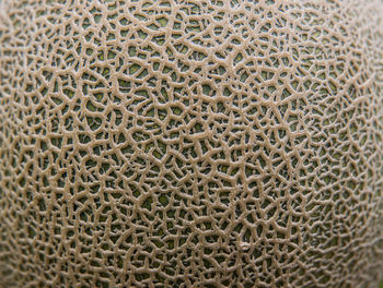 Full frame shot of abstract pattern