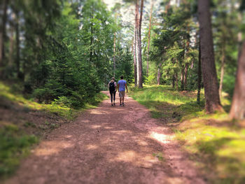 Rear view of people walking on footpath in forest