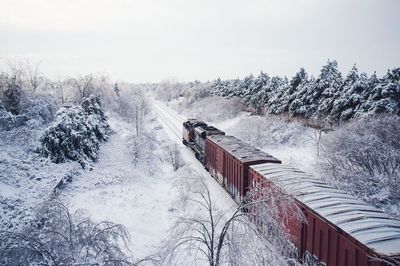 Scenic view of snow covered trees against sky