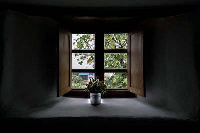 Flower vase on window sill