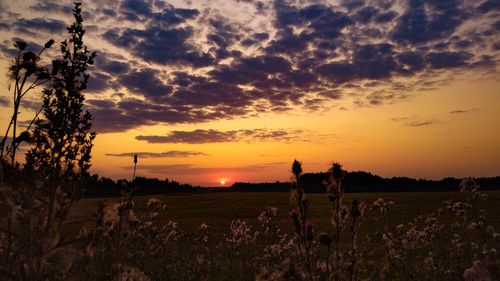 Silhouette people on field against sky during sunset
