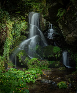 Waterfall in forest