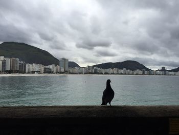 Scenic view of sea and cityscape against sky