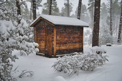 A cabin in the forest after a heavy snowfall