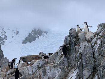 Low angle view of people on mountain against sky