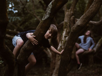 Children climbing trees in forest