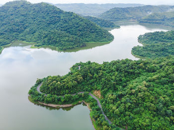 High angle view of trees on landscape