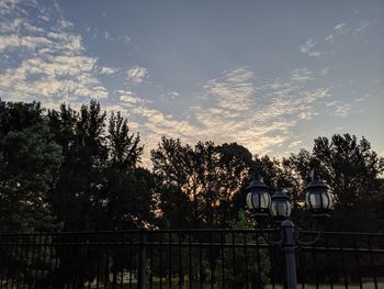 Trees by plants against sky during sunset